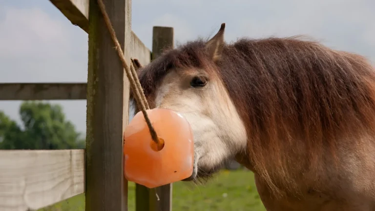 animal-lick-salt-post